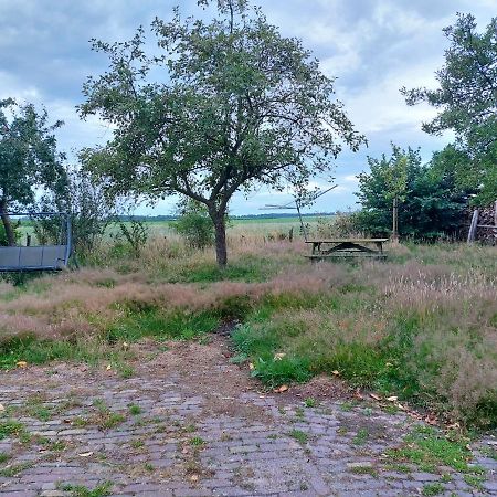 Апартаменти Logeerruimte In Gerenoveerde Boerderij In Wachtum Екстер'єр фото