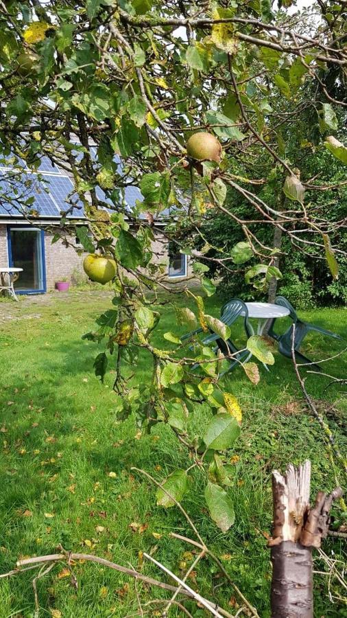 Апартаменти Logeerruimte In Gerenoveerde Boerderij In Wachtum Екстер'єр фото