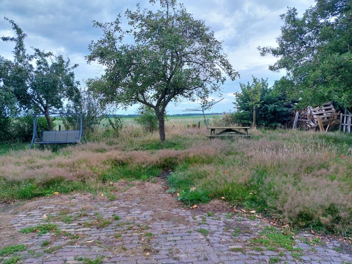 Апартаменти Logeerruimte In Gerenoveerde Boerderij In Wachtum Екстер'єр фото